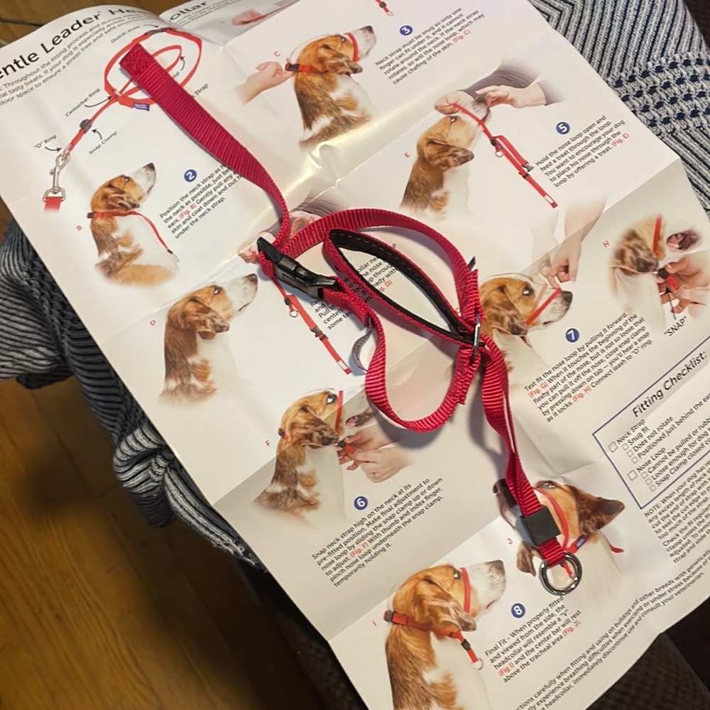 Gentle Leader Head Collar Sized M 25-60lbs dog Incl: Poster, training vid, lead. - Picture 6 of 7